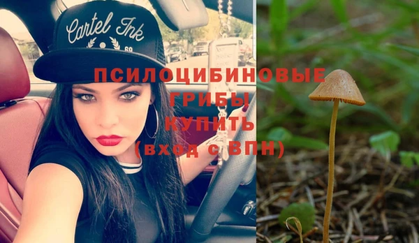 эйфоретик Богданович