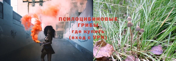 сатива Богородицк