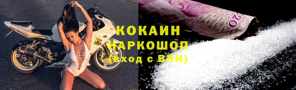 сатива Богородицк