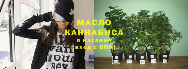 эйфоретик Богданович
